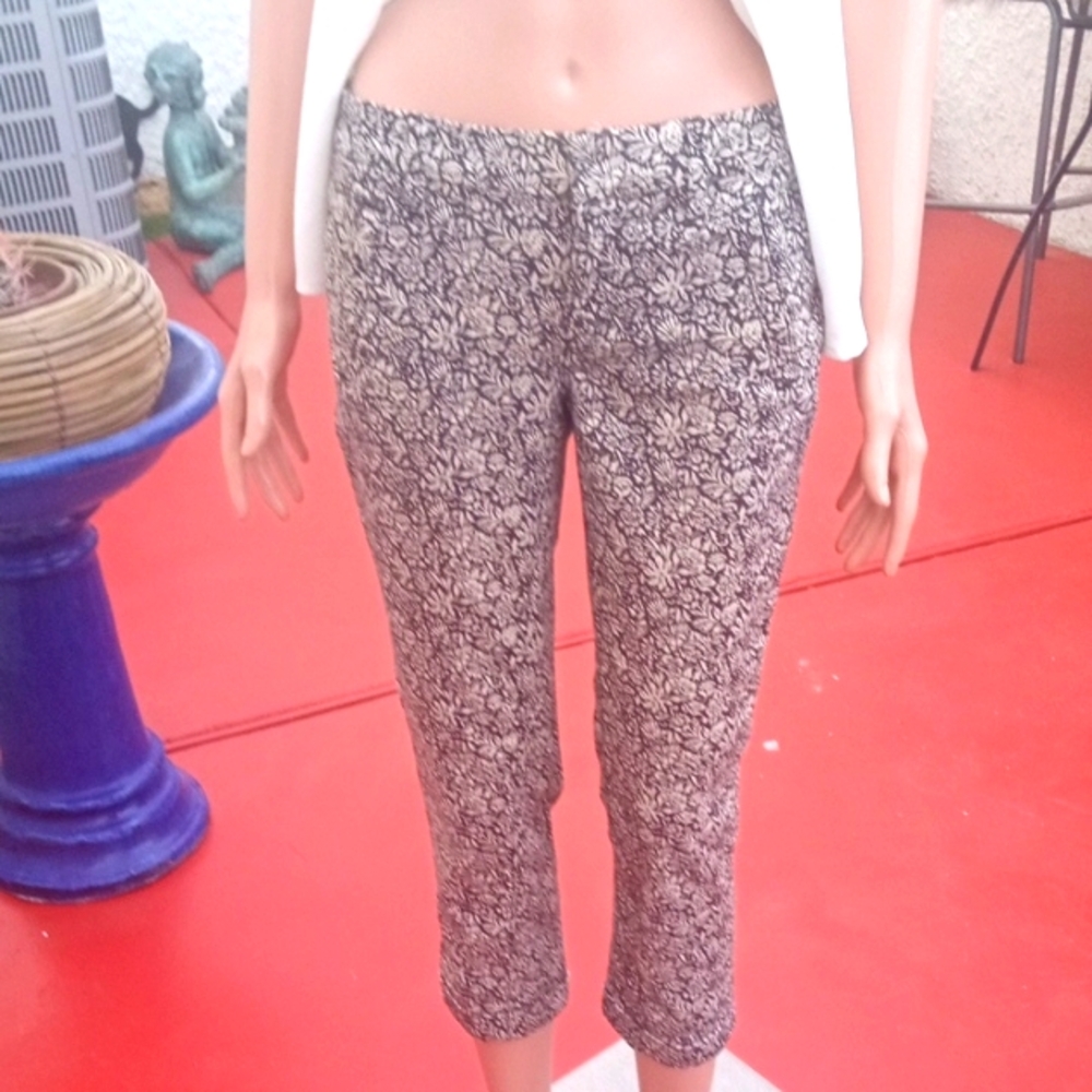 LOFT Ankle Cropped Pants